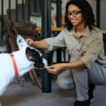 The questions to ask before entrusting your pet to a dog daycare